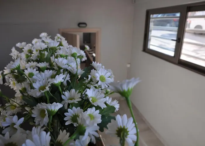 Mirma Halepa Superior Χανιά