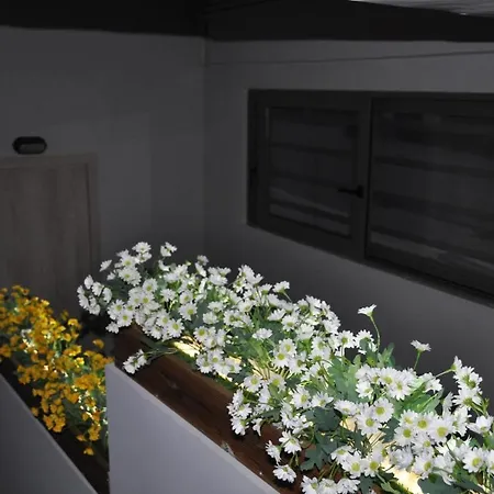 Mirma Halepa Superior Apartman Hriszí Aktí Haniá