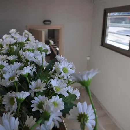 Mirma Halepa Superior ハニア