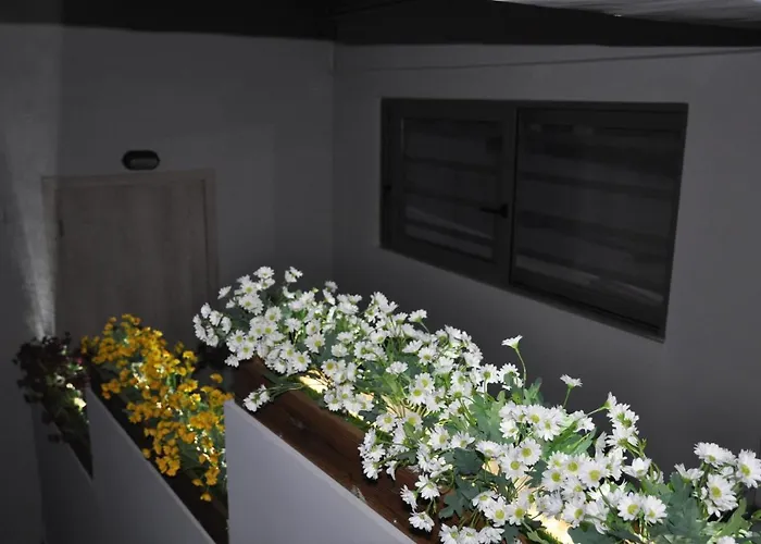 Mirma Halepa Superior Apartamento La Canea